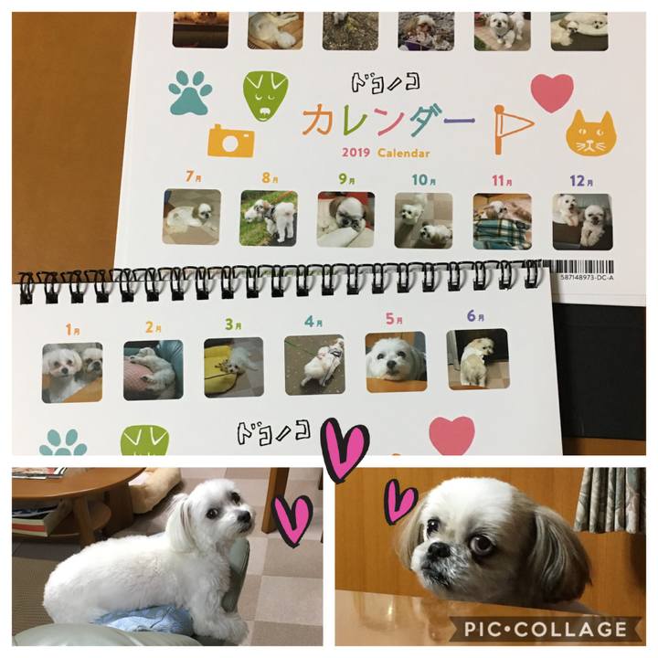 E46f45c0 b455 4827 9593 45b75bd461d9 1546080984516