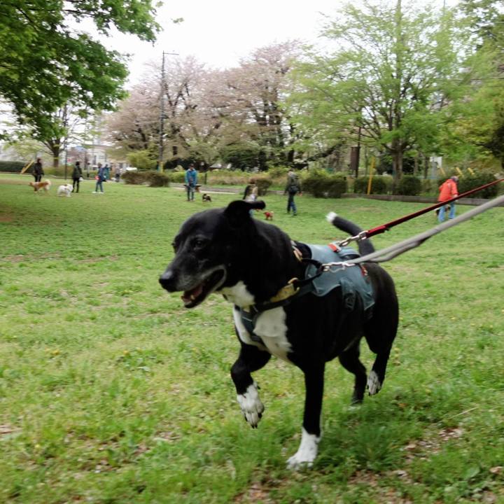 E46f6ed2 0c4d 48fc 8e55 4a69d014c654 1744500791595