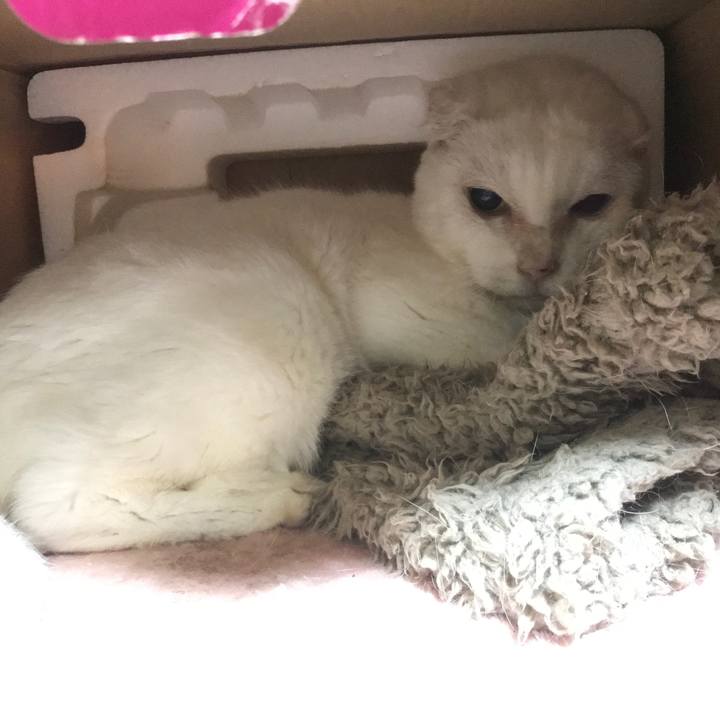 E46f7ec6 16cf 4410 993a 154070418a0d 1590811674060