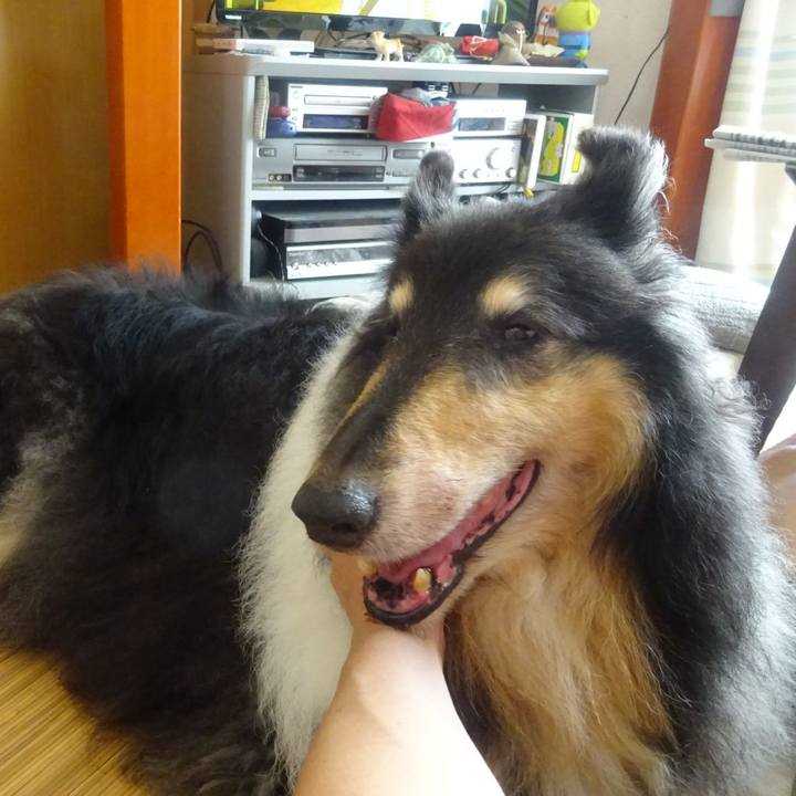 E46fbb8f bcd2 48ce a81f bae0f40caa28 1597757146415