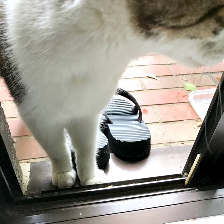 E4703174 eebd 4da9 8b1b b59f2eb926e5 1539229424363