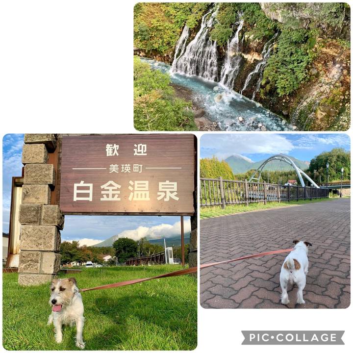 E47071fb 1454 4e7f b788 ab419fcf831a 1662988469021