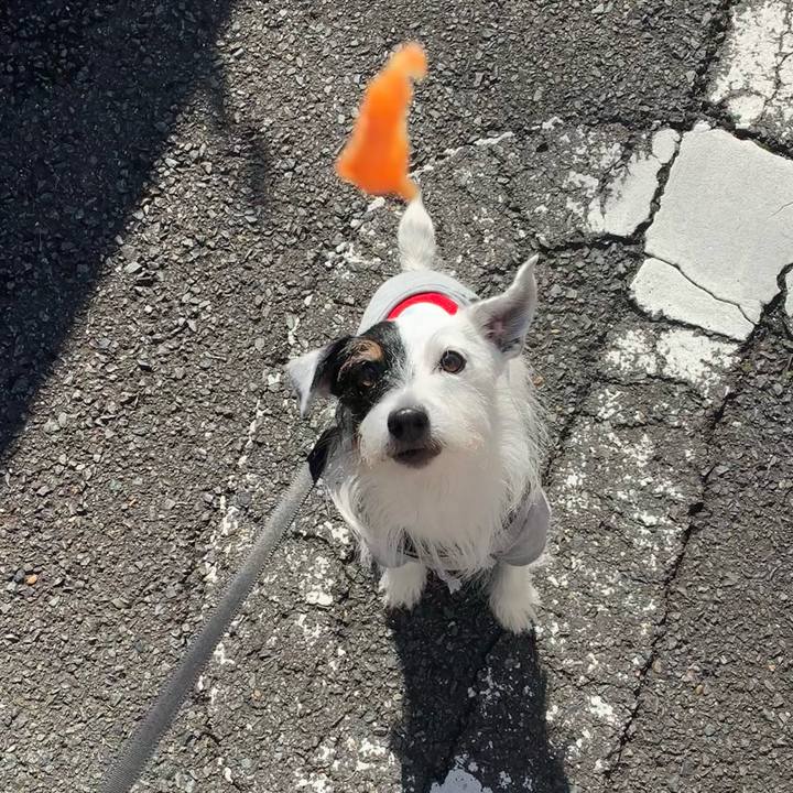 E470a6b1 63c3 4432 9fcf 903f0ce57e17 1701134359167