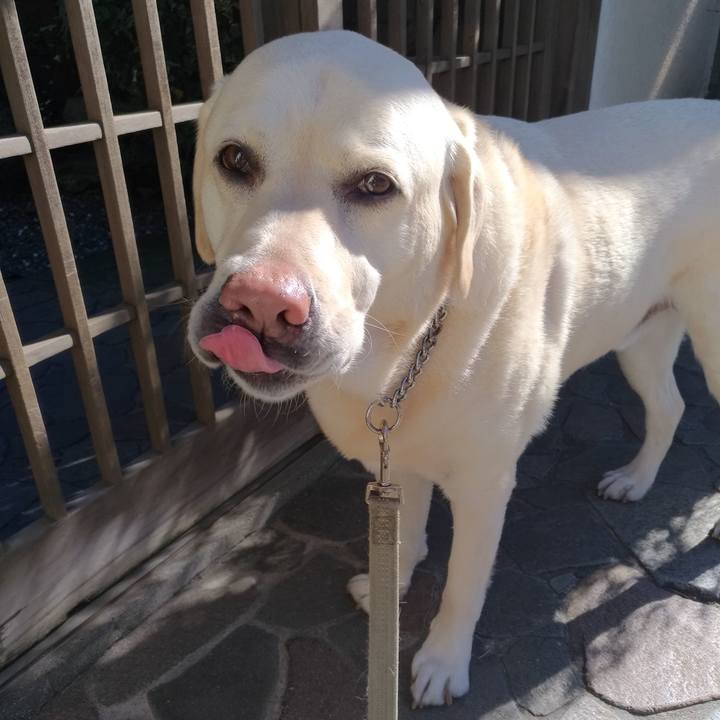 E470d745 abd8 412a b1d7 e69f80a6b95d 1642824595089