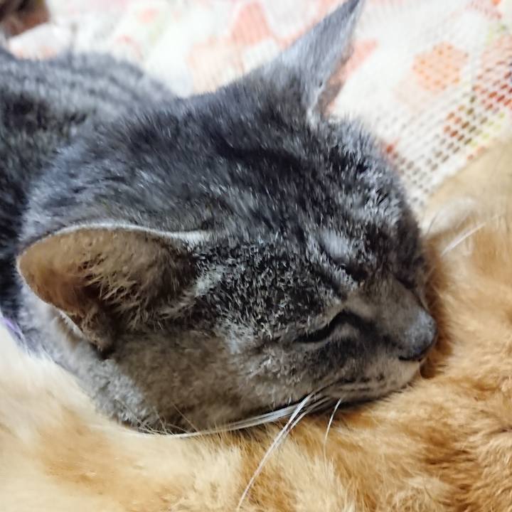 E470e1e8 b6b4 414b a123 76aa68289032 1584795001251