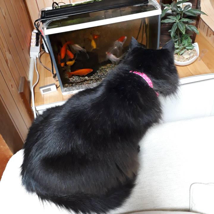 E470f1be 31f2 4843 89be f70ef66cac80 1521913132400