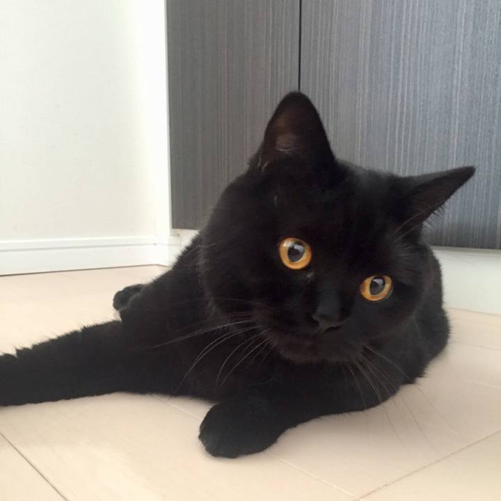 E4710c40 c533 413f 8e2a c988ec576f57 1530746028737