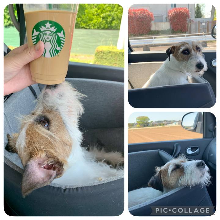 E471180d b58c 4cf5 ac0b 5dad365e33eb 1617934914038