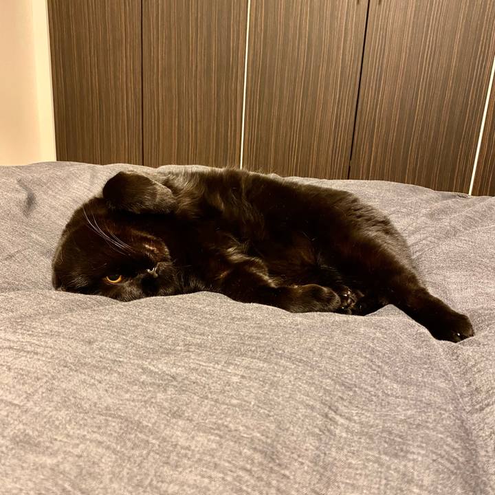 E4711913 f33d 48c7 bf4c b0c87e658ca7 1681043251137