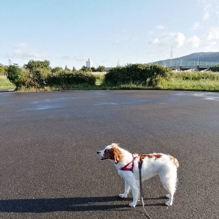 E4716bf5 7094 45a1 9f27 6944b000b7bf 1570145146124