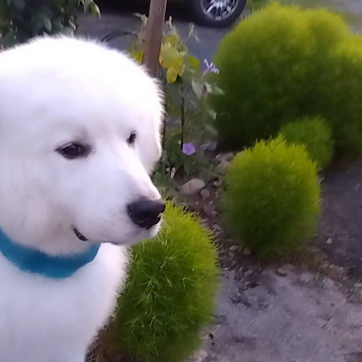 E471d308 cb45 4071 a4c3 953db385bcd8 1693530022744