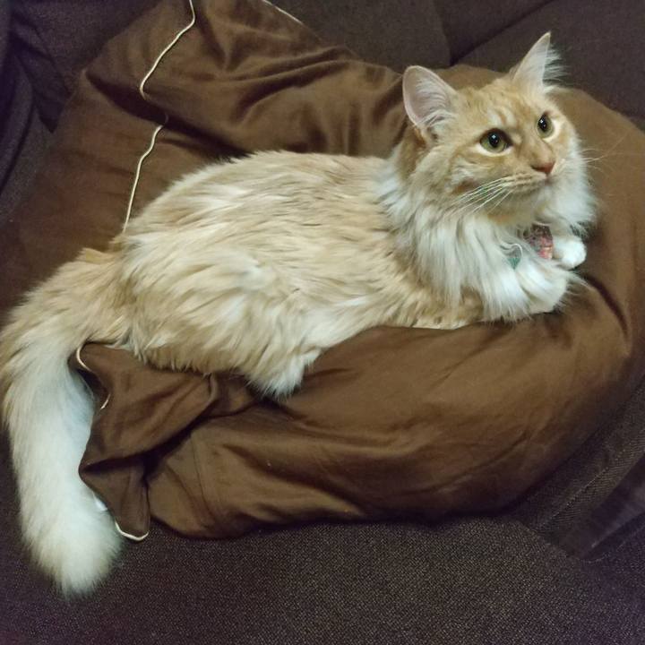 E47229a4 f82f 4864 923b df10da19d5d4 1652195466049