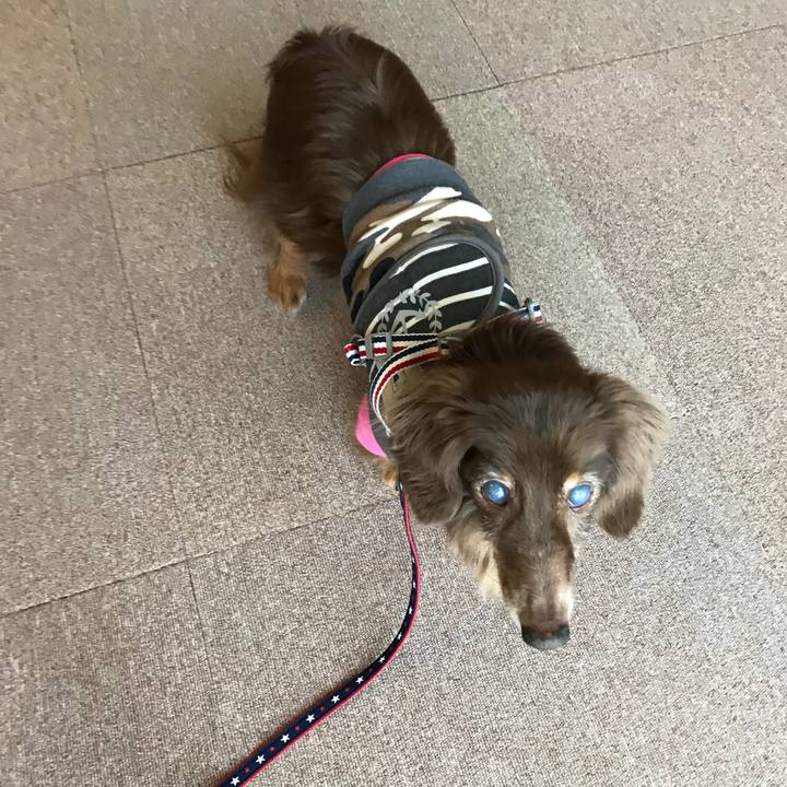 E472315c 66a0 405c 90a3 663c09065612 1526024761384