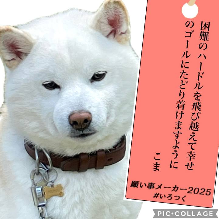 E47232f2 2911 45e3 a3b7 547ac82cdf9b 1751901307506