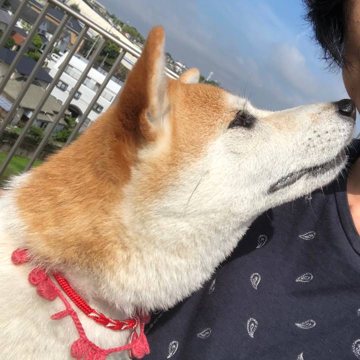 E4724e86 cb62 4813 869a abee0a23fe00 1561693682665