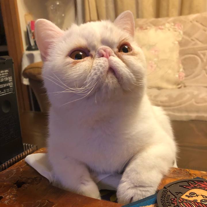 E4727512 9ee6 425f 99a7 e2ecc96c0e78 1612876276025