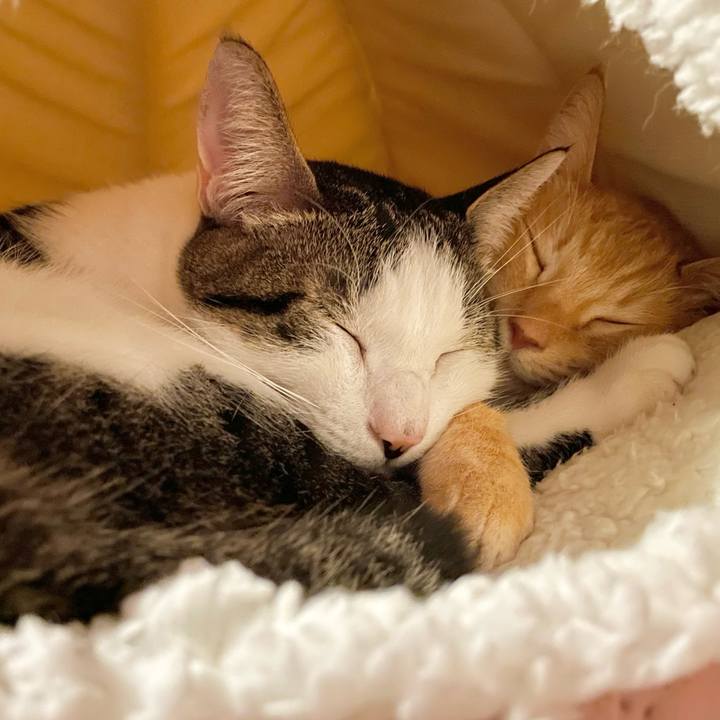 E4727b5a 5cdd 4e6c 9efc 9cc7b4ab611a 1768550222127