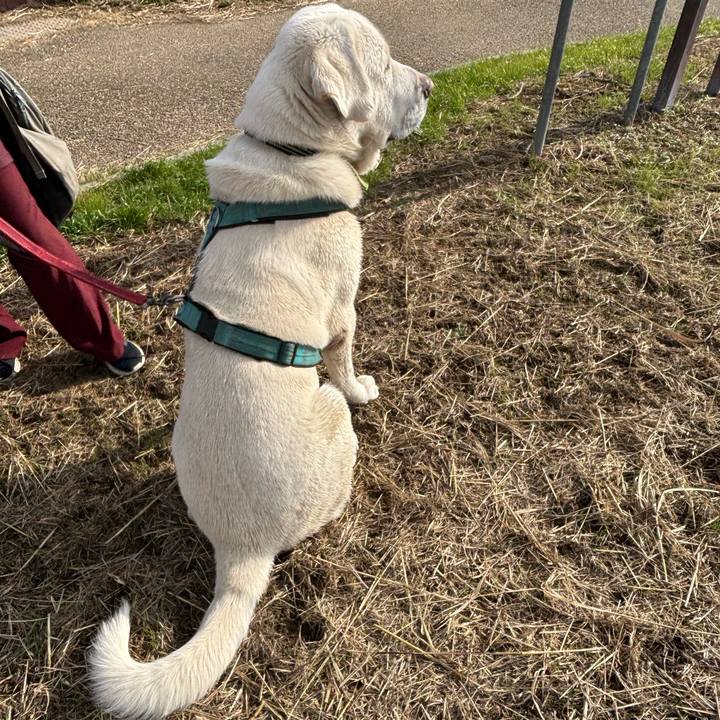 E47291d3 2383 410d 9353 70476e957504 1766885326922