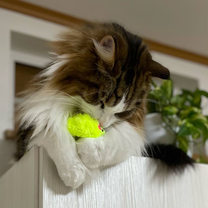 E472b909 65fb 4a7f 844c a6d5bac2aba9 1697832806758