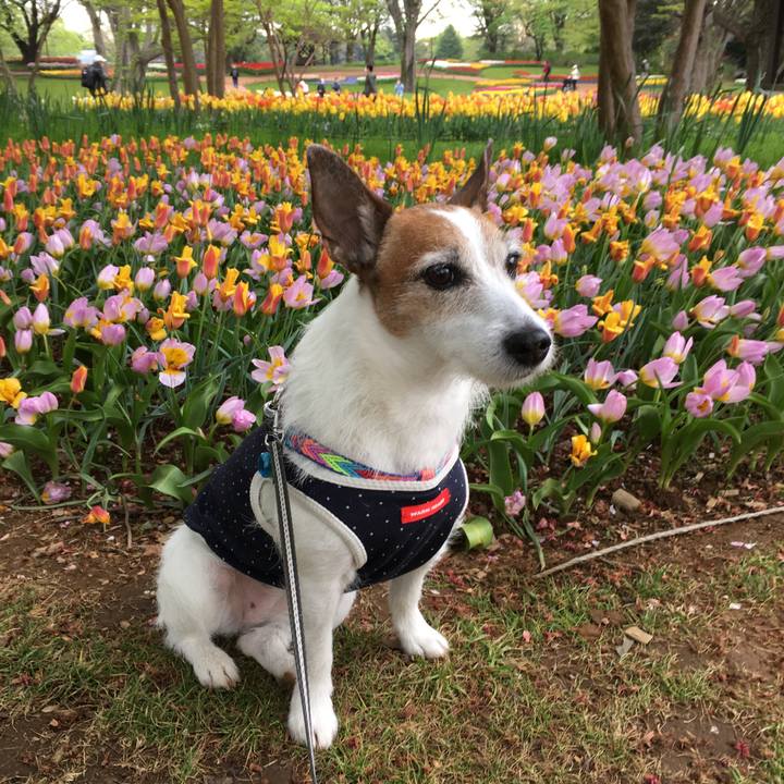 E472be68 92f3 4019 92bd 5058f29b67d6 1650238321115