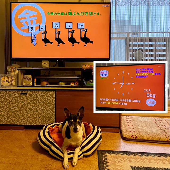 E472f17f 8b3a 4014 83f1 0372abde10e4 1614290845436