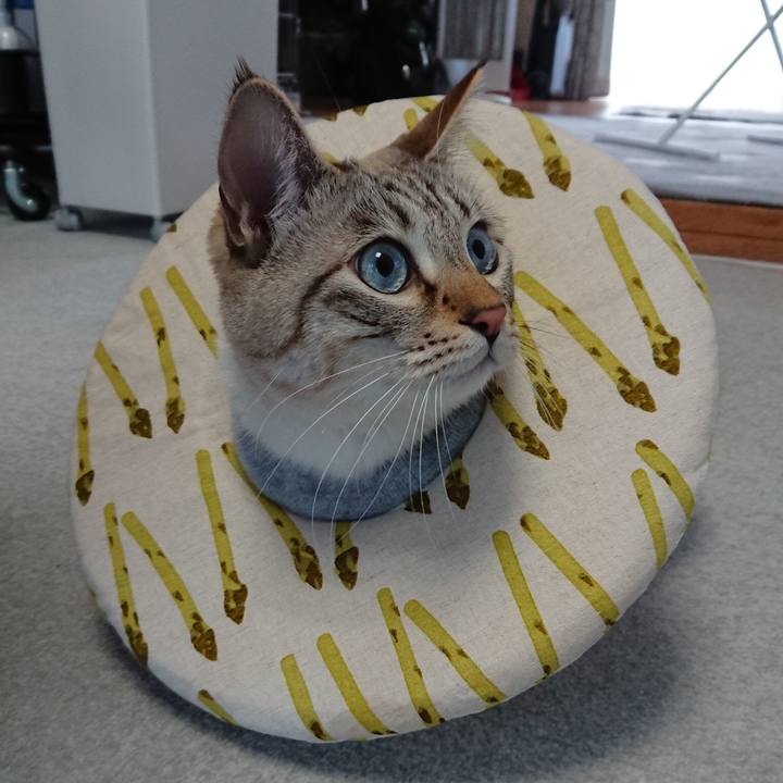 E47324b1 aba1 48cf a10b eeb06d74fca9 1515625359077