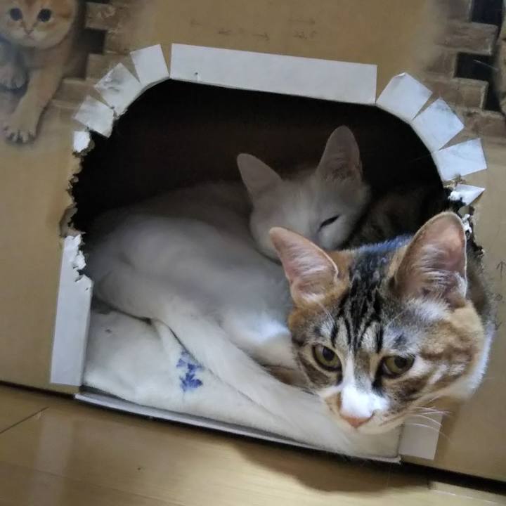 E47372f2 daa7 4d0d bd3e ab2677a4e024 1645747990684