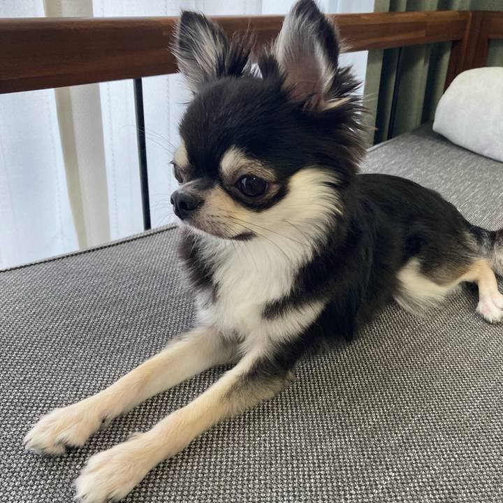 E4738e53 137f 428d b982 84ad5be4004f 1627185471239