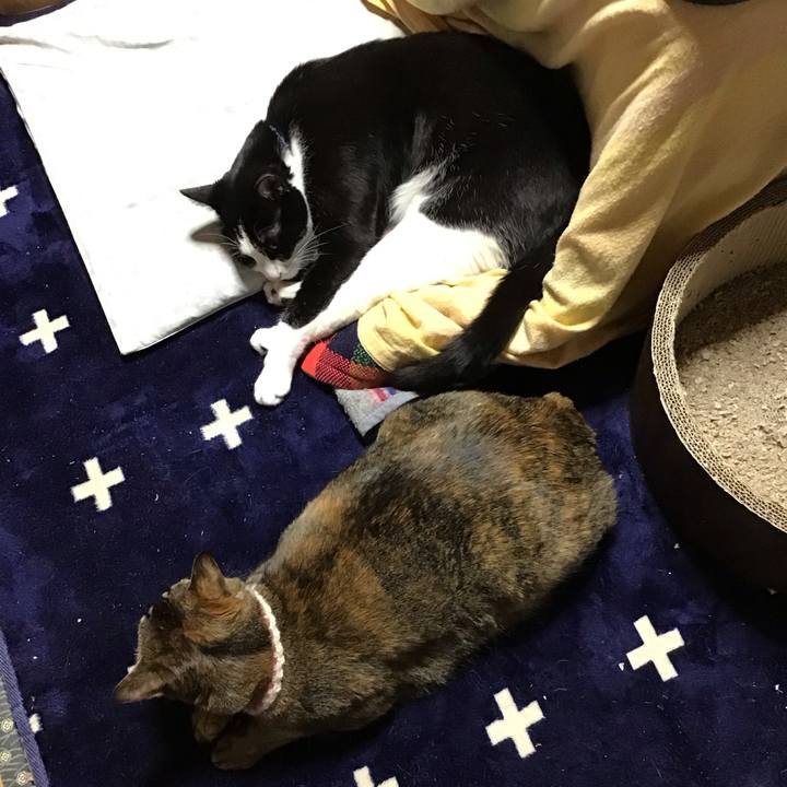 E473a92d a8b3 4590 8394 fd8d73dce620 1713445208209