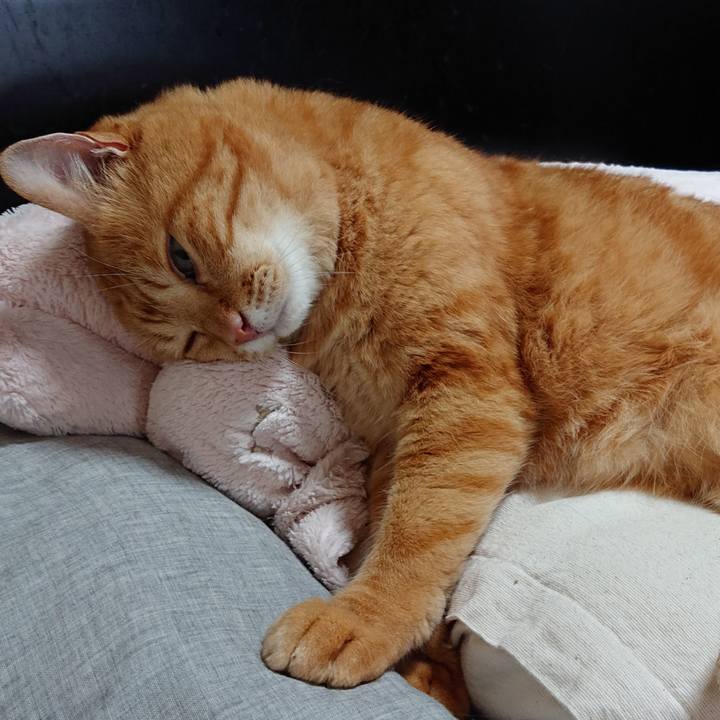 E473c45e 4172 49c3 a9aa b2579c187b8e 1536455986793