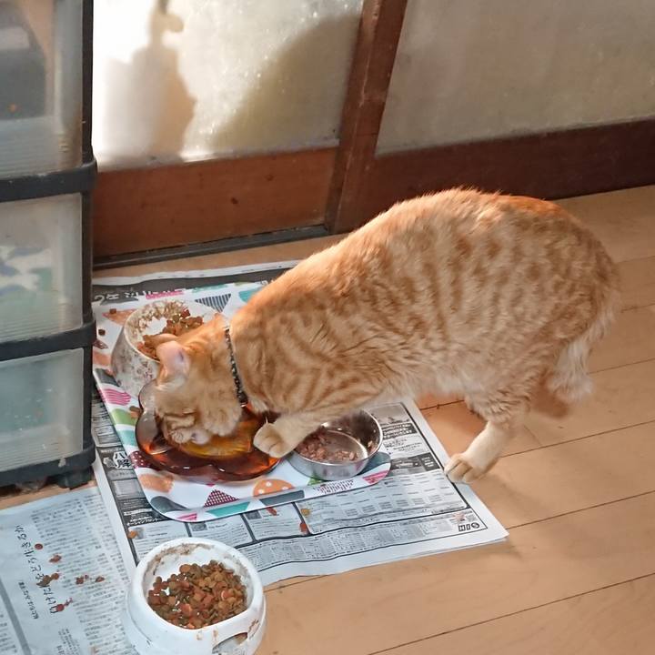 E473cded ee53 4f99 95c6 2e6658b84364 1651613938751