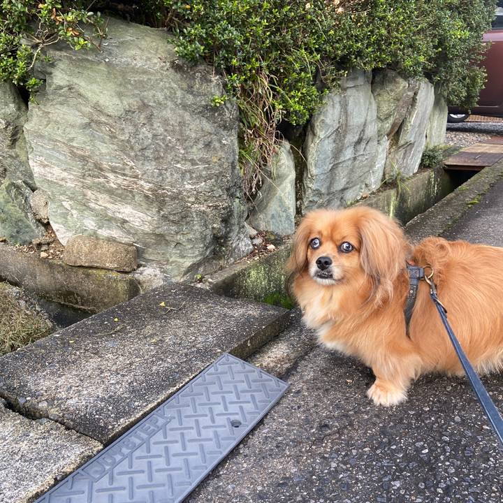 E473e035 44d6 4c86 a2cc 5b1343e272f0 1632694143510