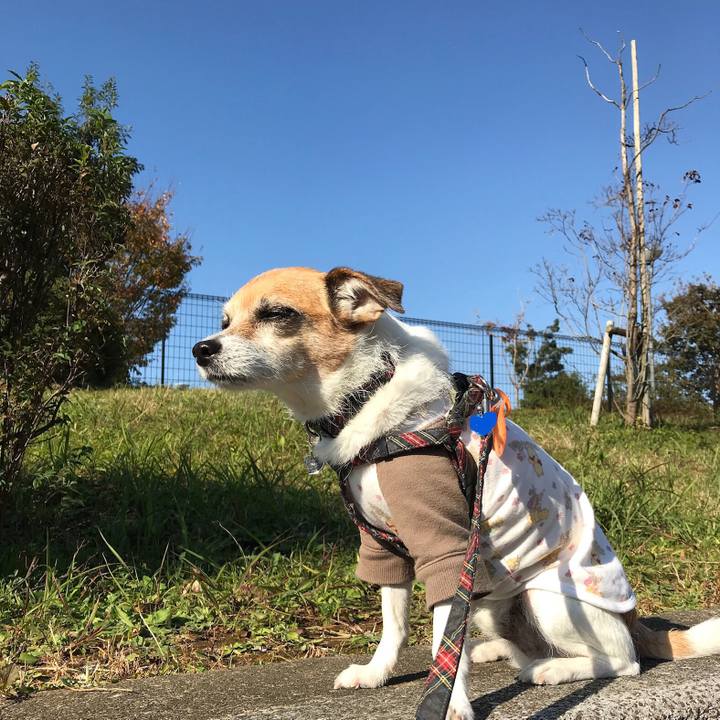 E47468b9 f81c 45c7 91ea b27e6978fc33 1573711812298