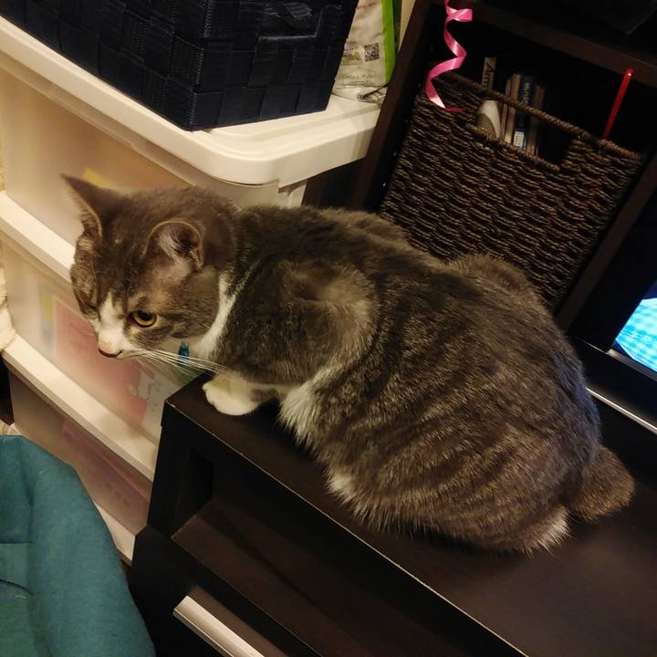 E4746bce b9c2 49fc 8b5c 4c814ea23893 1582728151961