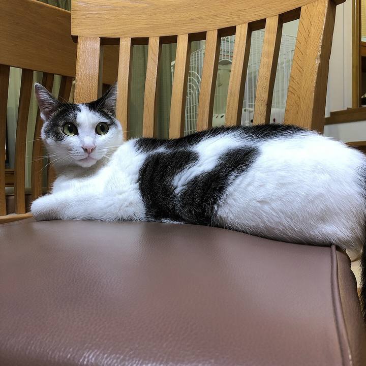 E4748427 640d 488a ba49 ee1f15b145b6 1664281356121