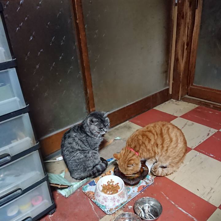 E474a00f e056 43b4 b730 62f56c80df53 1578257523703