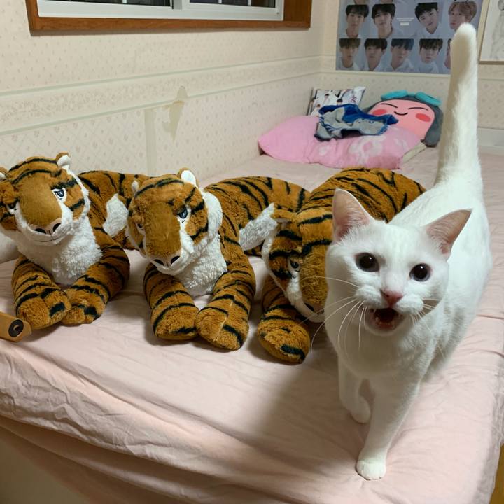 E474d5d3 0879 4df7 a9d4 c8083aefd4ef 1568815759831