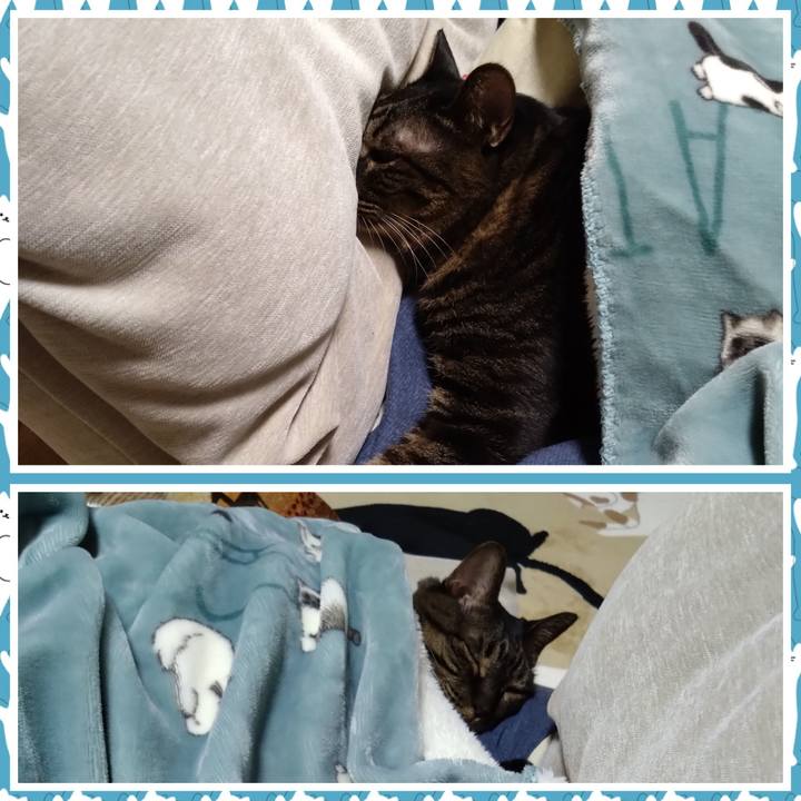 E4750e8e e36a 4da1 93bf 41e794dc2f4d 1765584656854