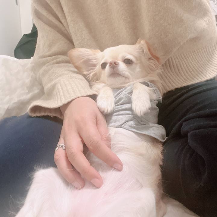 E4754c08 d65c 436a a9b4 c91ecfce9b53 1671091996823