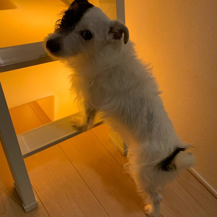 E4754c6a e709 4a79 a2bc 23535b986729 1594730159535