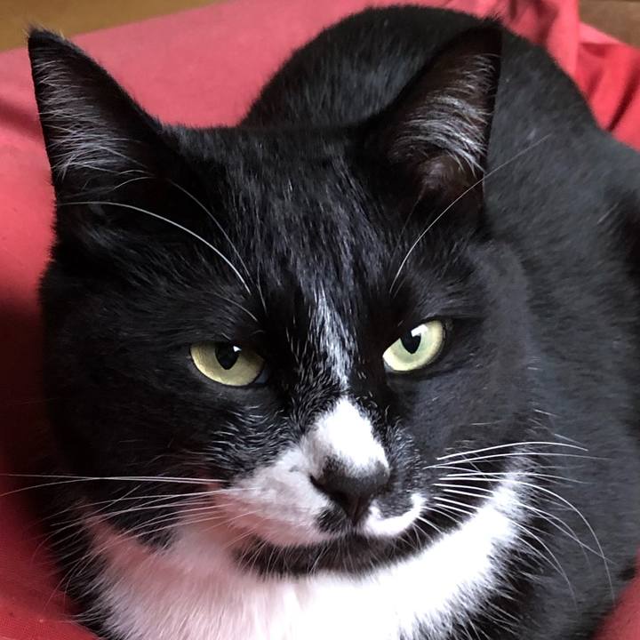 E4755201 f87f 4ab1 94a6 b3bb2b2699ad 1587781808880