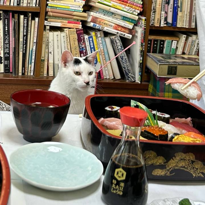 E4756581 403b 4af2 8640 db685fc214ac 1723681650322