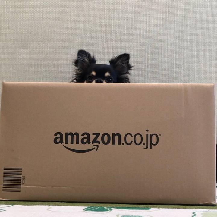 E475679f 7fab 444a b043 71fbf7f72664 1561423217382