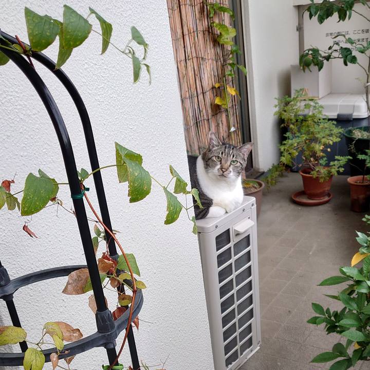 E475c466 ee54 473f a691 f0865d548eb6 1666828674238