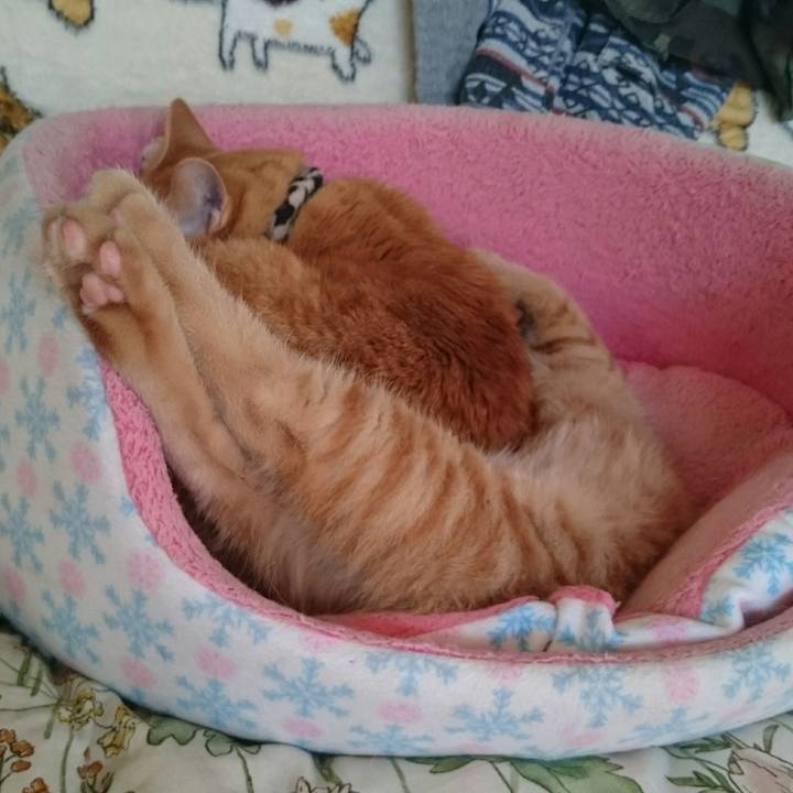 E475c820 f145 4db6 856c 5ff1ef96dea9 1543623015420