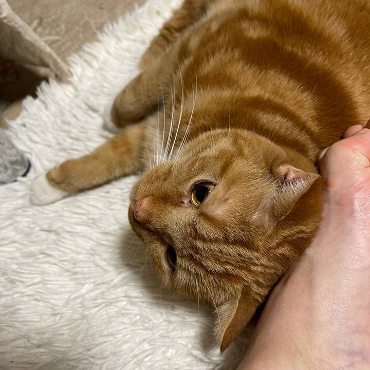 E475c851 435e 4b39 ace0 f1f5a6f14f12 1618753993730