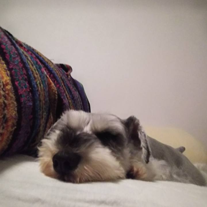 E475ceaa 6878 466d b6d5 5507b32a6f74 1554042989348