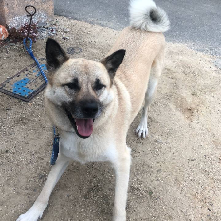 E475d273 401c 43d8 9b81 f255c1742864 1557747969991