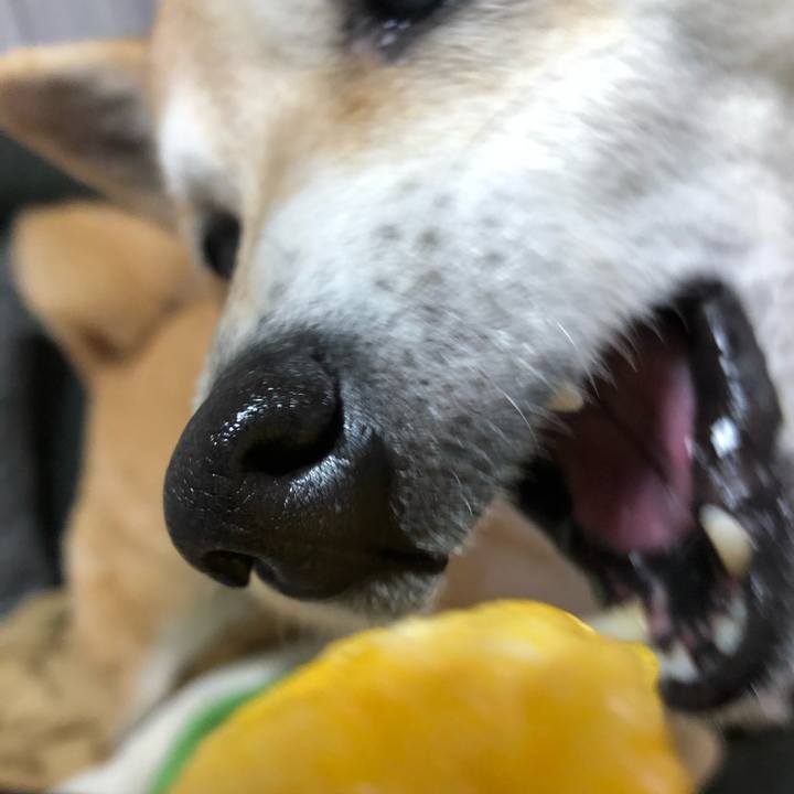 E475d81a cf34 43bf b4df c9088f9d1142 1584454598170