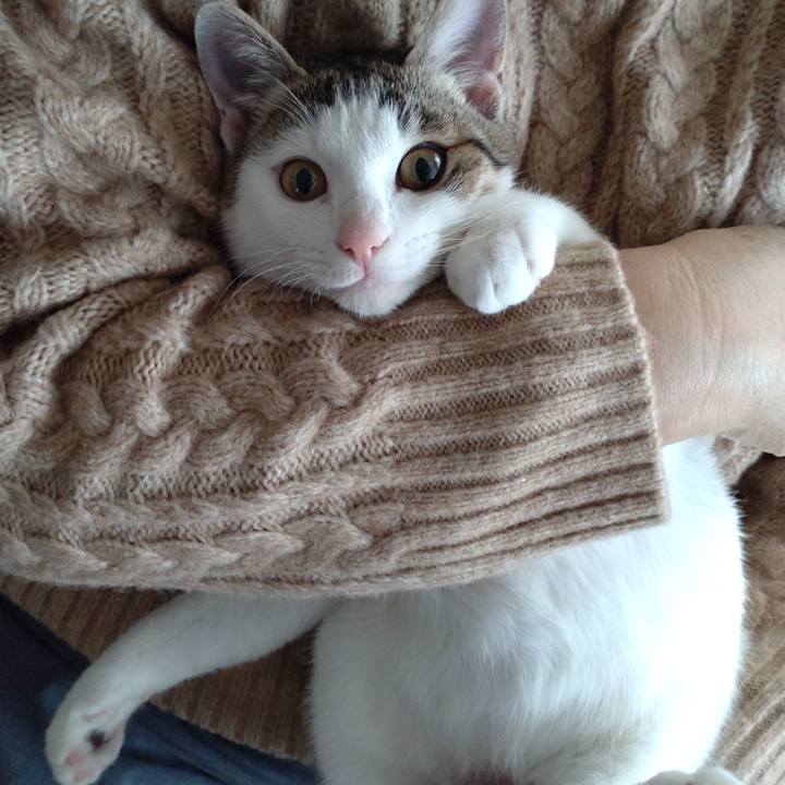 E475e0a7 5ef3 40c7 ab2d 6ac4e2afcb01 1641009574682